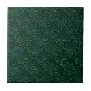 Water Drops on Green Metal Tile
