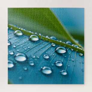 Water drops on leaves jigsaw puzzle