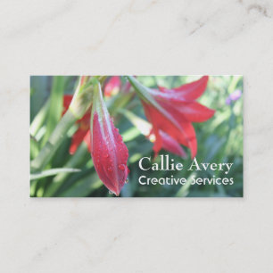 Water Drops on Red Daylilies Photo, Fully-Editable Business Card