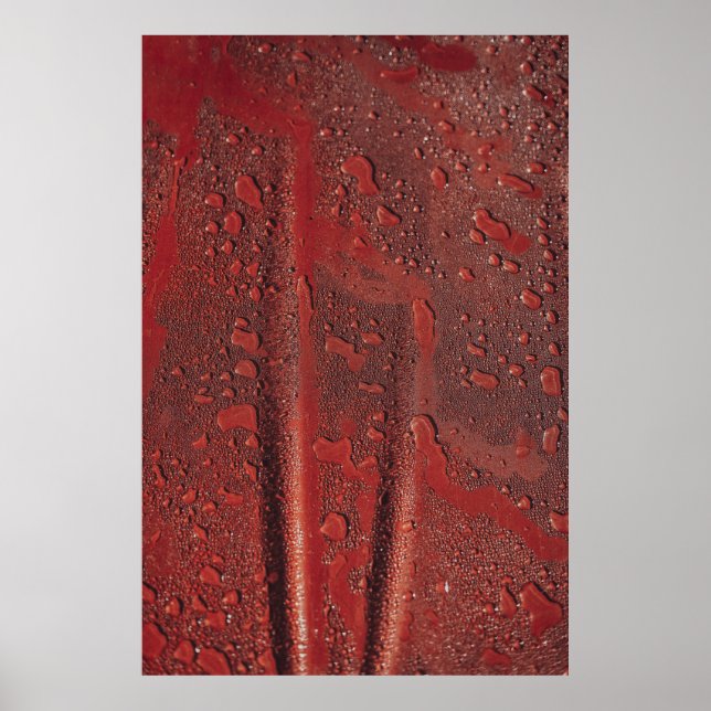Water drops on red hood poster (Front)