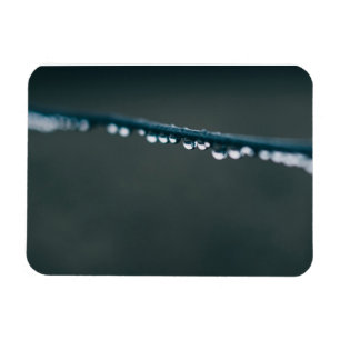 Water drops on wire magnet