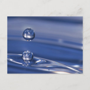 Water Drops Postcard