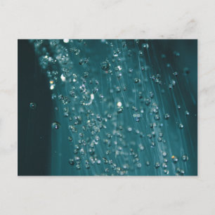 Water Drops Postcard