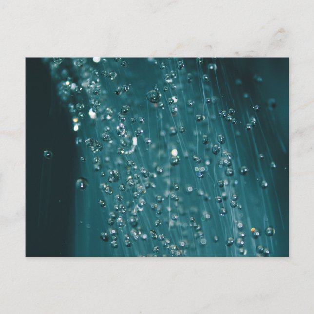 Water Drops Postcard (Front)