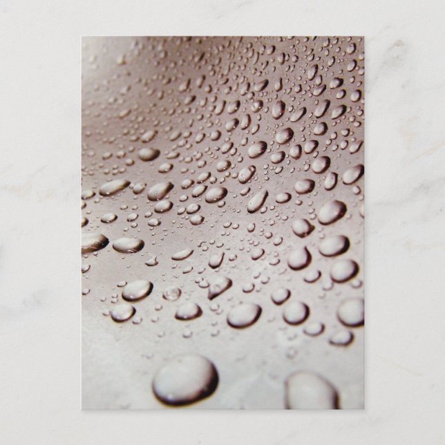Water Drops Postcard (Front)