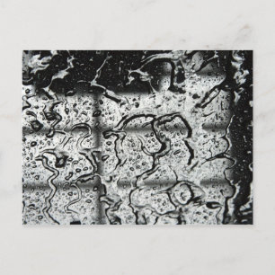 Water Drops Postcard