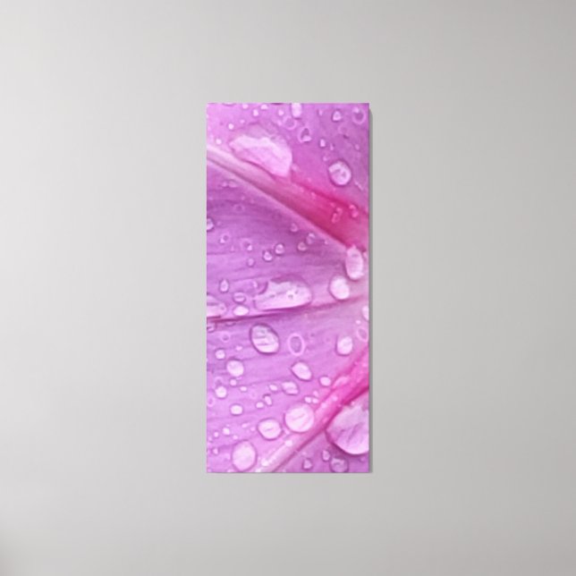 Water Drops Stretched Canvas Print (Front)