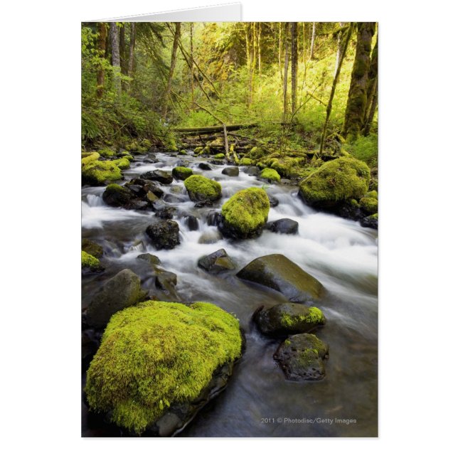 Water Flowing By Moss Covered Rocks In A Stream (Front)