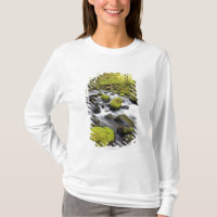 Water Flowing By Moss Covered Rocks In A Stream