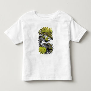 Water Flowing By Moss Covered Rocks In A Stream Toddler T-shirt