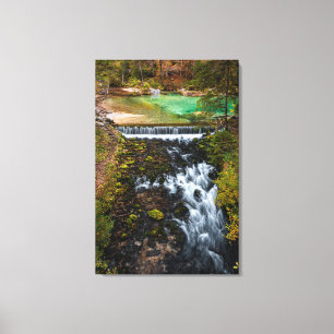 Water flowing through autumn forest canvas print