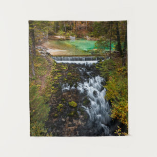 Water flowing through autumn forest tapestry
