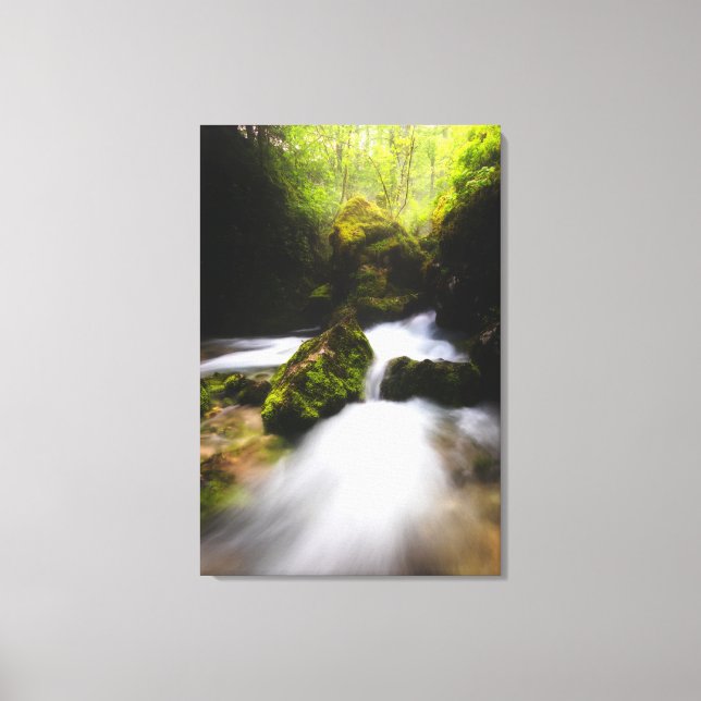 Water flowing through enchanted mossy forest canvas print (Front)
