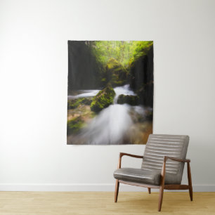 Water flowing through enchanted mossy forest tapestry