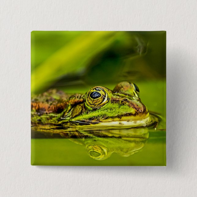 water frog 2 inch square button (Front)
