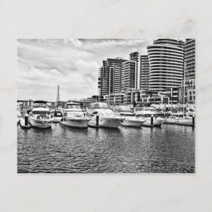Water Front Postcard