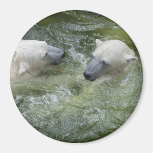 Water Fun Polar Bears Magnet