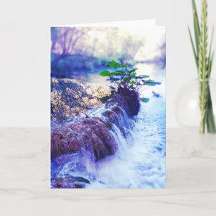water haze card