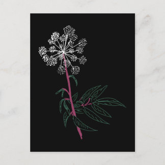 Water Hemlock Postcard