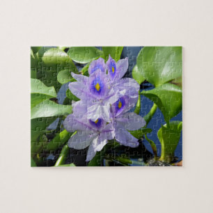 Water Hyacinth Lavender Flower Puzzle