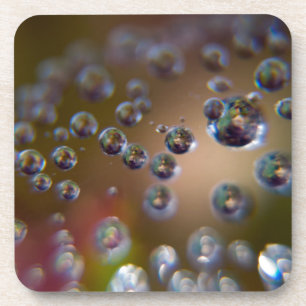 Water in Motion Coaster