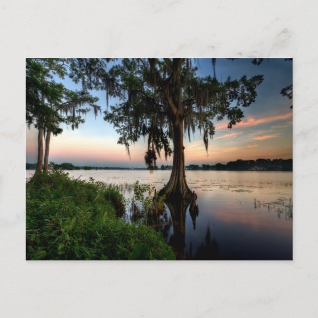 Water | Kraft Azalea Park Maitland Florida Postcard (Front)