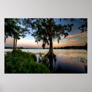 Water   Kraft Azalea Park Maitland Florida Poster