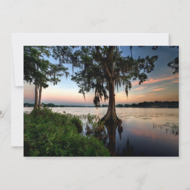 Water | Kraft Azalea Park Maitland Florida Thank You Card (Front)