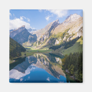 Water Lake Alpsee Switzerland Magnet