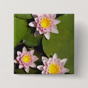Water lilies 2 inch square button