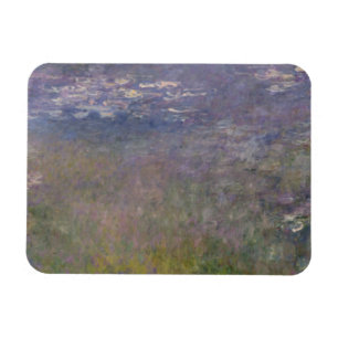 Water Lilies Agapanthus Magnet
