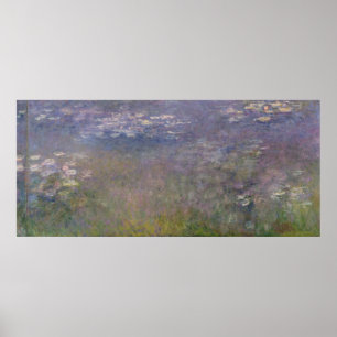 Water Lilies Agapanthus Poster