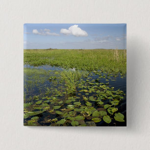 Water lilies and sawgrass in Florida everglades 2 Inch Square Button