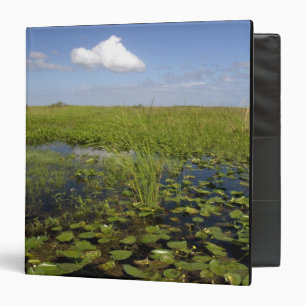 Water lilies and sawgrass in Florida everglades Binder