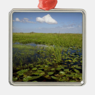 Water lilies and sawgrass in Florida everglades Metal Ornament