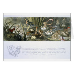 Water-Lilies and Water Fairies, illustration from