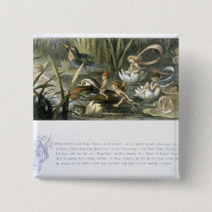 Water-Lilies and Water Fairies, illustration from 2 Inch Square Button