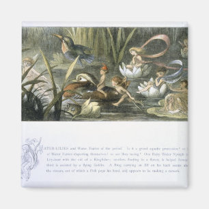 Water-Lilies and Water Fairies, illustration from Magnet