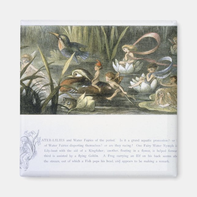 Water-Lilies and Water Fairies, illustration from Magnet (Front)