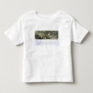 Water-Lilies and Water Fairies, illustration from Toddler T-shirt