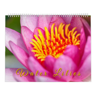 Water Lilies  Calendar