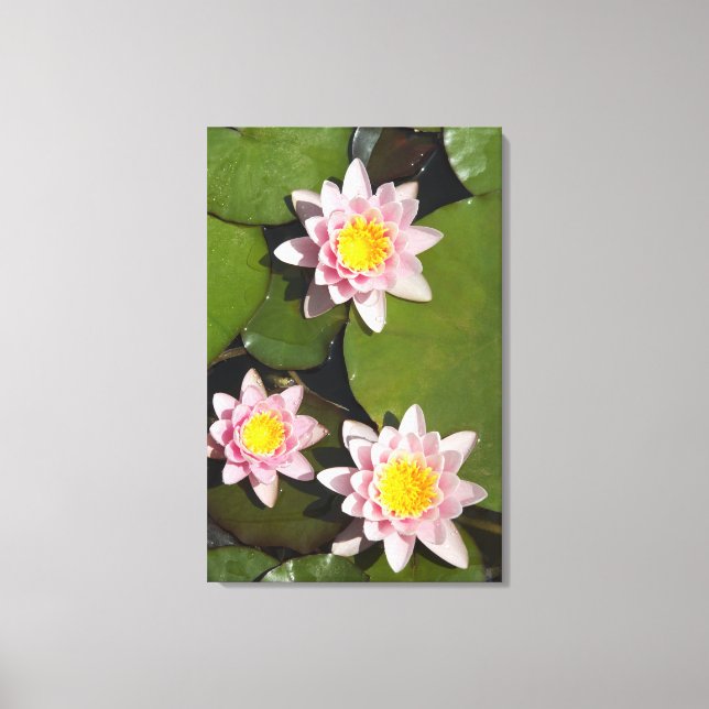 Water lilies canvas print (Front)