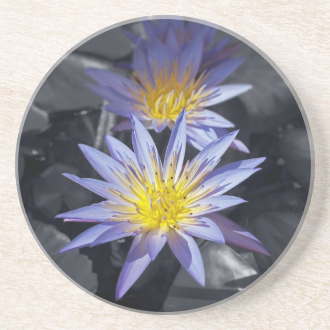 Water Lilies Coaster (Front)