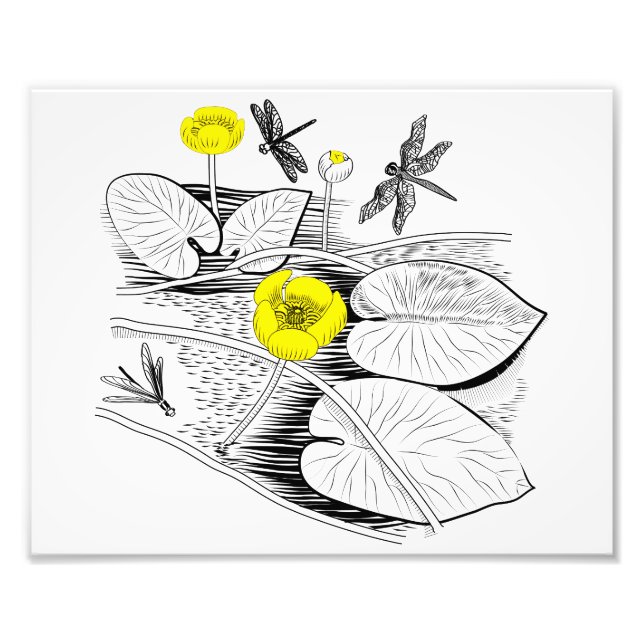 Water-lilies engraving photo print (Front)