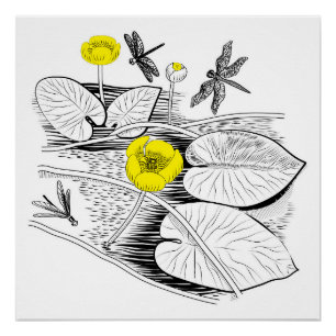 Water-lilies engraving poster