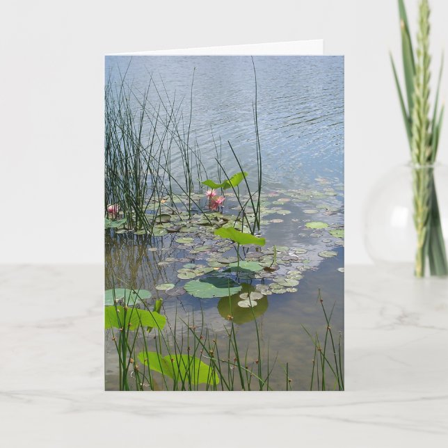 Water Lilies in the Pond  Thank You Card (Front)