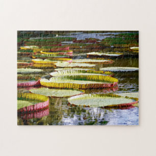 Water Lilies. Jigsaw Puzzle