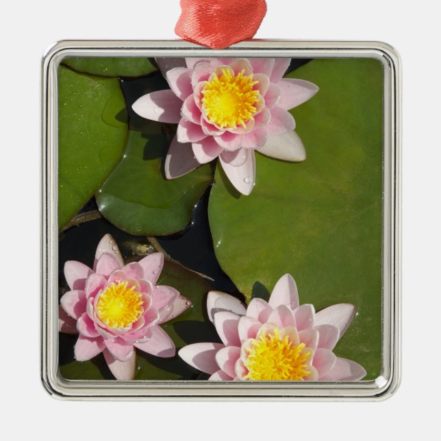 Water lilies metal ornament (Front)