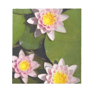 Water lilies notepad