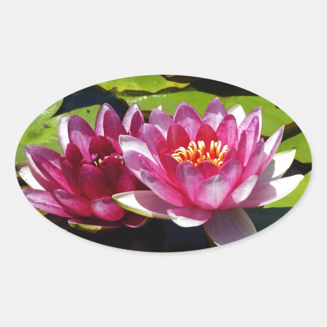 Water Lilies Oval Sticker (Front)